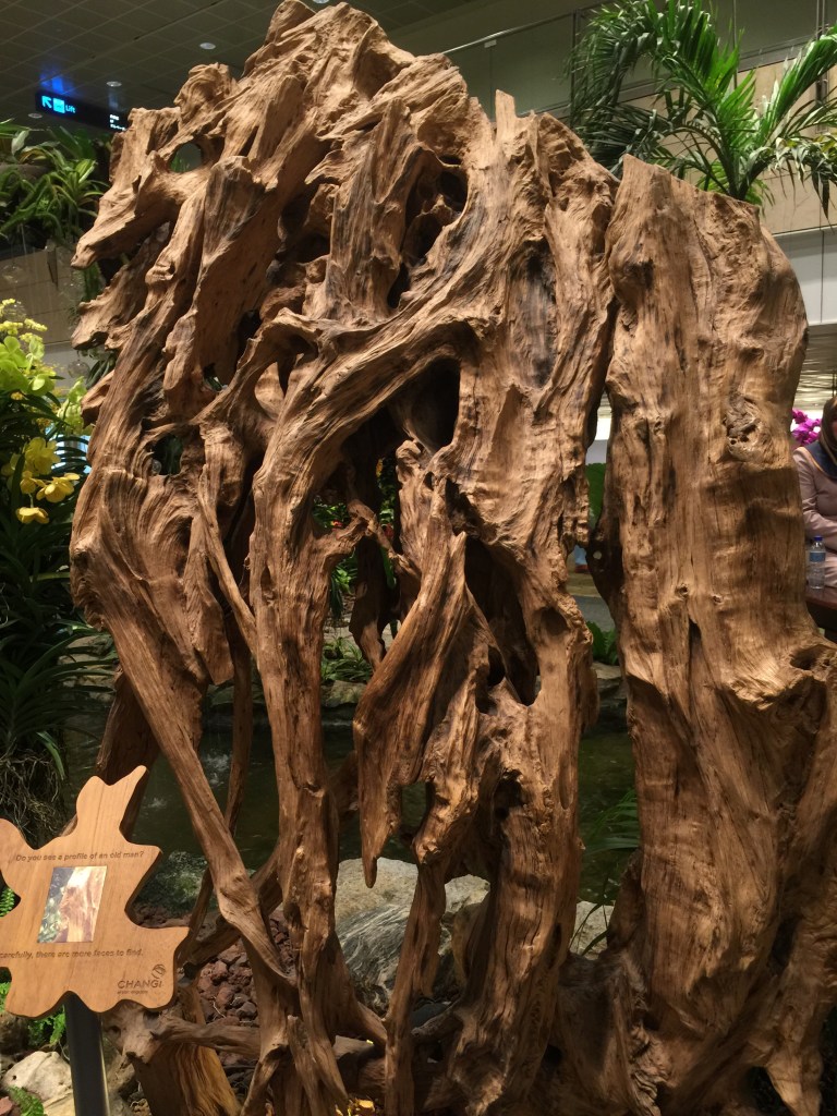 This intricate bit of natural wood stands higher than me, got an image of an old man in there somewhere if you look at it correctly - and that's exactly why I didn't include my face in the image.