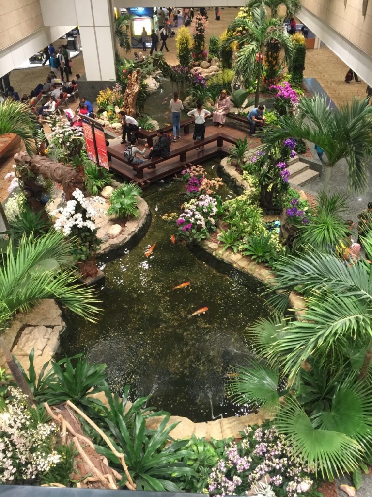 The orchid display at Singapore airport taken from the floor above.