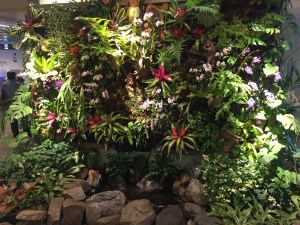 Lots of photos of the orchids, but there really was so much to look at.