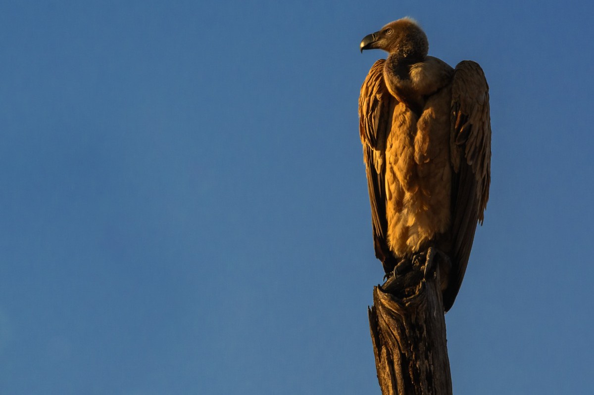 Does tech make for a more fulfilling&nbsp;life