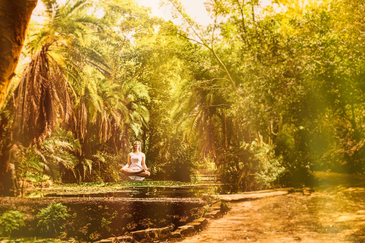 SA, from enlightenment to&nbsp;darkness