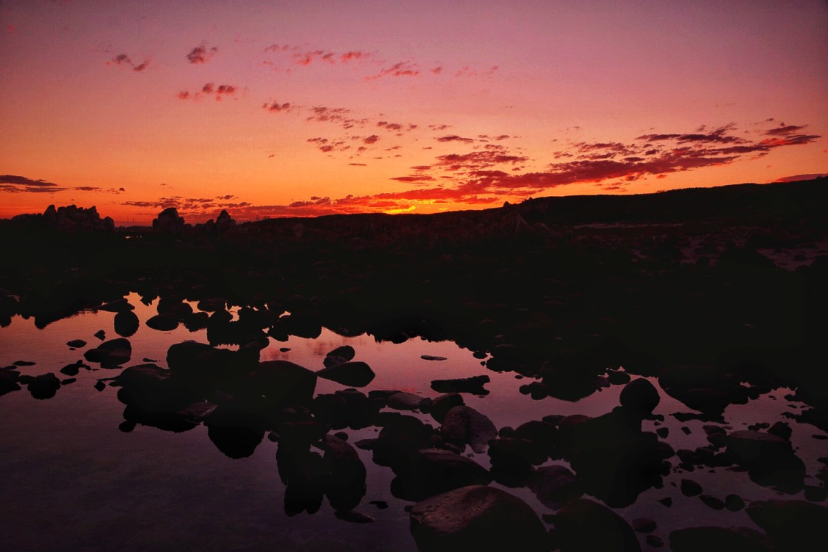 The little lockdown&nbsp;holiday