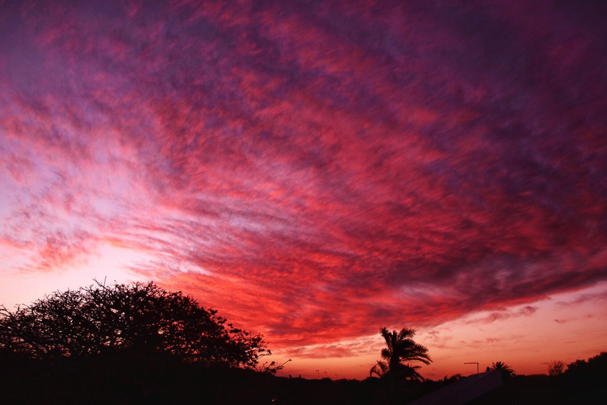 Are the super spreaders&nbsp;coming?