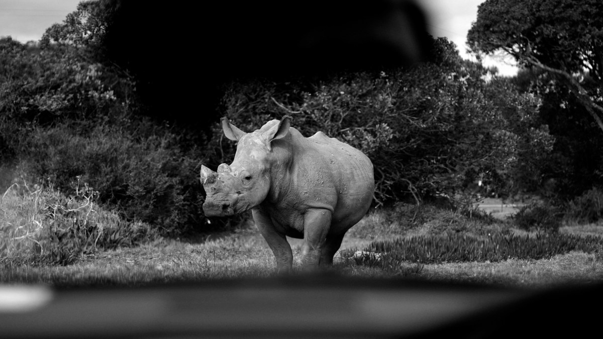 Politics strains the&nbsp;budget