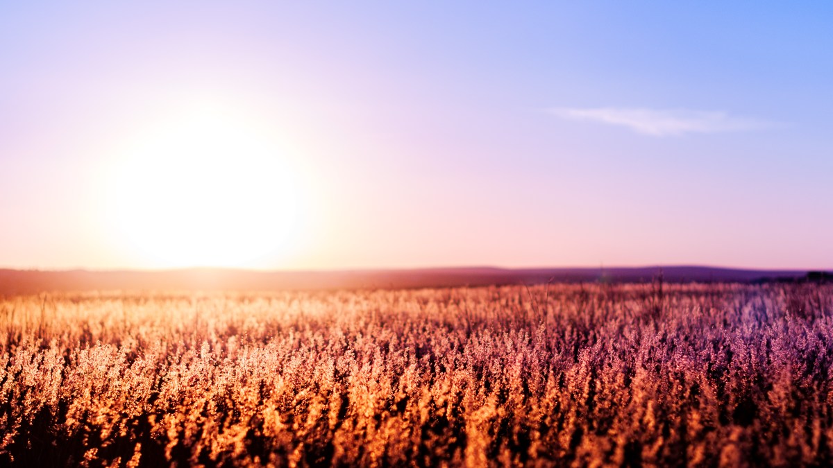 Five more World Heritage Sites for&nbsp;SA?