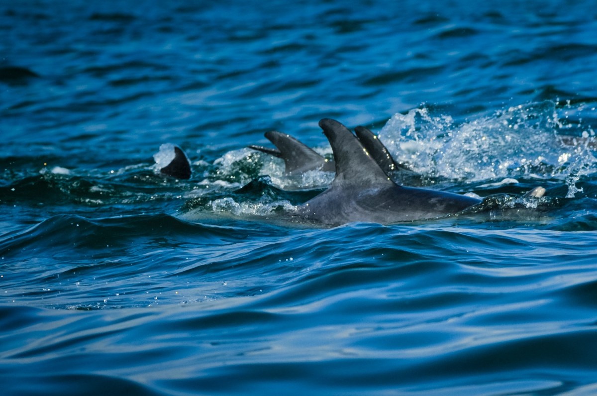 Booze, beaches and all those&nbsp;jabs