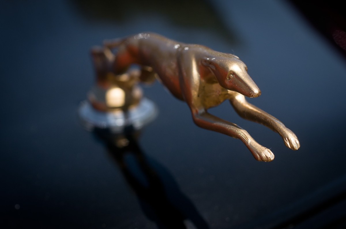 Beaches, booze and …&nbsp;brawls?